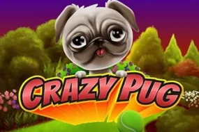 Crazy Pug